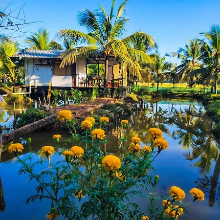 Thomman'S Farm Stay Kottayam Extérieur photo