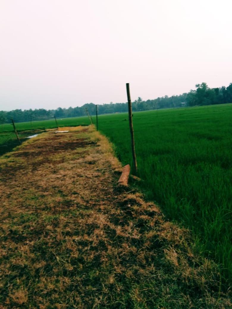 Thomman'S Farm Stay Kottayam Extérieur photo