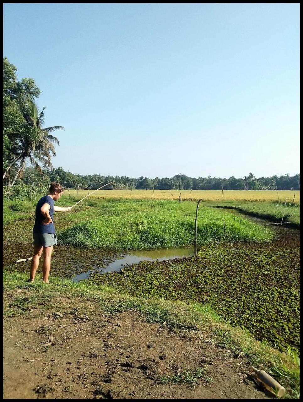 Thomman'S Farm Stay Kottayam Extérieur photo