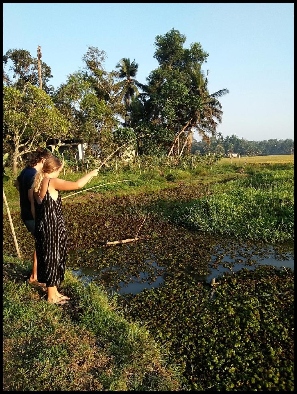 Thomman'S Farm Stay Kottayam Extérieur photo