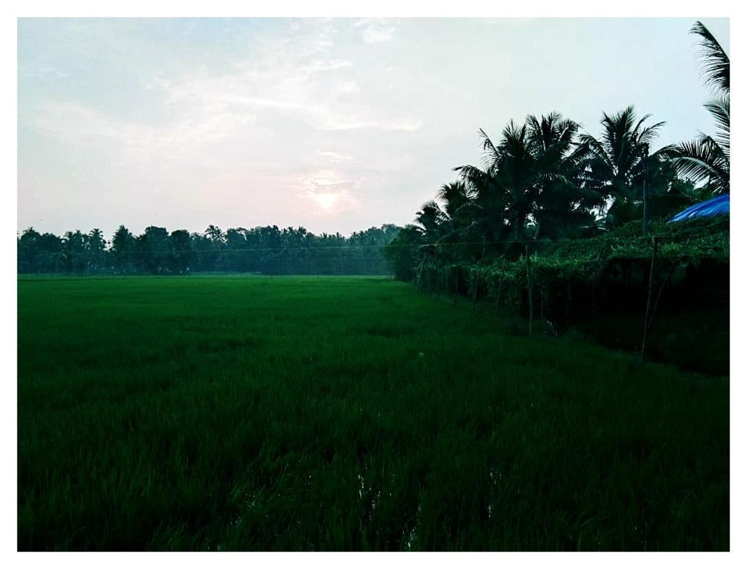 Thomman'S Farm Stay Kottayam Extérieur photo