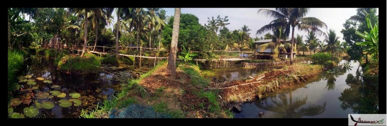 Thomman'S Farm Stay Kottayam Extérieur photo